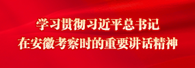 学习贯彻习近平总书记在安徽考察时的重要讲话精神